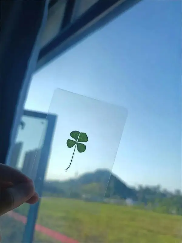Novo 5 pçs folhas secas natura - Red Clover Flower avaliação e preço
